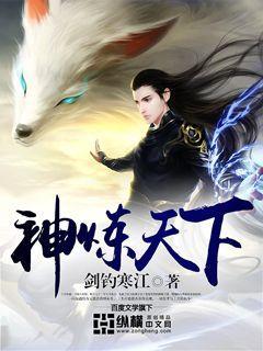 炼神txt
