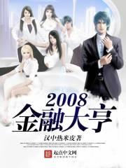 2008年金融大危机