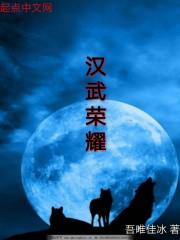 汉武是什么意思?