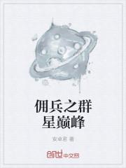 佣兵之王系统