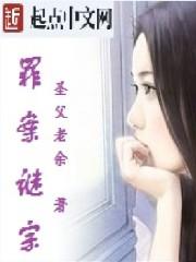 罪案谜城2