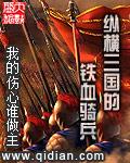 纵横三国的铁血骑兵怎么获得