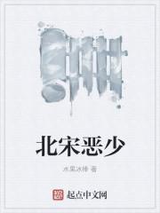 北宋大恶儒