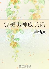 完美男神养成系统