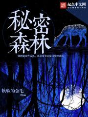 秘密森林介绍