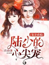 宠妻成瘾陆少的心尖宠动漫合集
