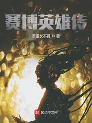 赛博英雄传简介