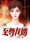 至尊龙婿叶辰萧初然免费阅读