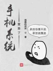 手机系统一般多久更新一次