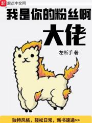 我是你的粉丝你是我的什么