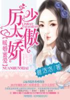 暖婚蜜爱厉少的私有宝贝
