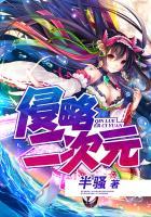 入侵二次元随风