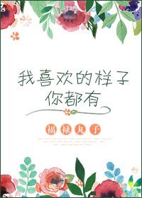我喜欢的样子你都有什么意思