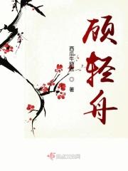 顾轻舟司少帅免费阅读