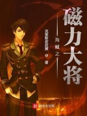 海贼之磁力剑神