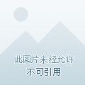 重生狐狸精魅惑人心