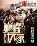 巅峰玩家吧