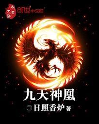 九天神凰价格表图