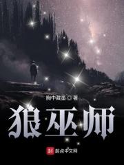 巫师3狼派加点