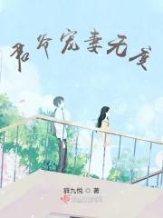 君少宠妻无度