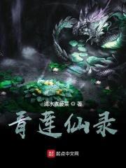 青莲仙录清水煮菠菜顶点