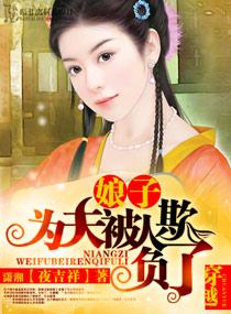 娘子为夫被人欺负了有声