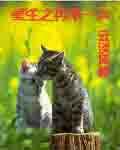 再来一次免费阅读