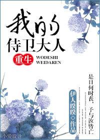 我的侍卫大人讲什么