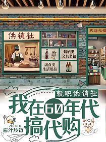 就职供销社我在60年代搞代购百度阅读