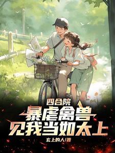 四合院网文