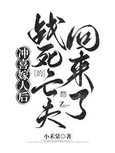 冲喜嫁过去的
