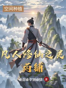 凡人修仙传灵石
