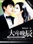 大婚晚辰大结局