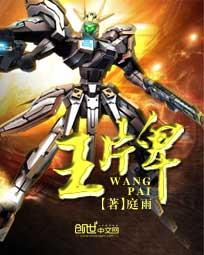 王牌竞速wiki
