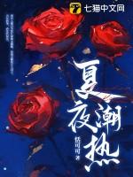 播放夏夜