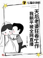 我的天后老婆