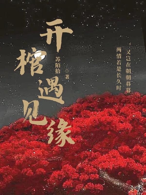 王爷竟然是和我一起穿越的