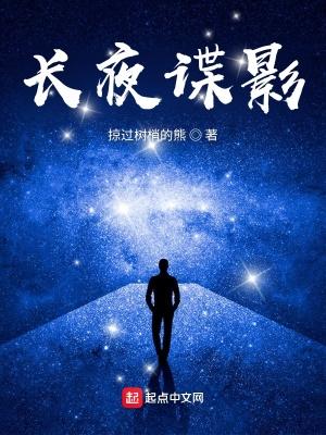 长夜谍影免费阅读无弹窗