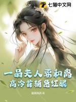 一品夫人刀具