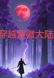 穿越紫徽大陆推荐