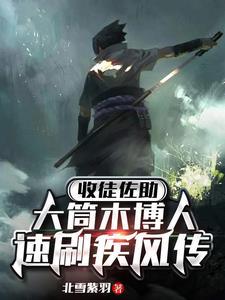 火影忍者博人传疾风传