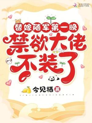 替嫁将军by夜冰澜