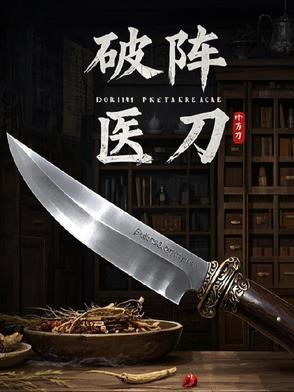 破阵枪是谁的武器