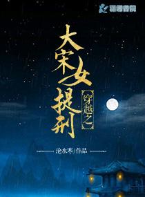 穿越大宋提刑官系统