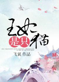 王妃是只猫第二季大结局视频