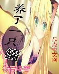 养了一只猫游戏正版
