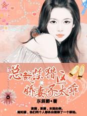 总裁禁宠txt