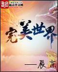完美世界对战平台