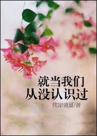 就当我们从没认识过忧凉盛夏讲的什么