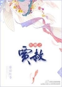 红搂之贾赦